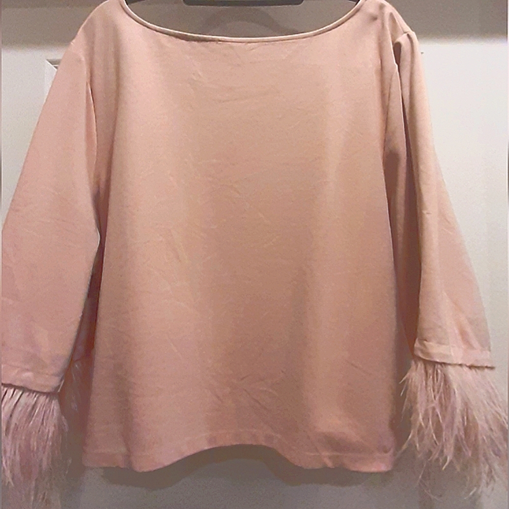Women's Blush Top with Feathered Sleeves